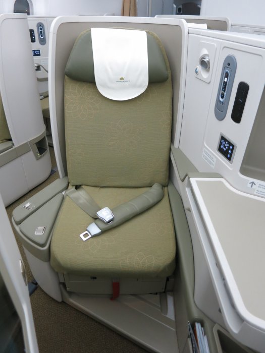 Vietnam Airlines Business class B787 HAN-NRT, 27.JPG