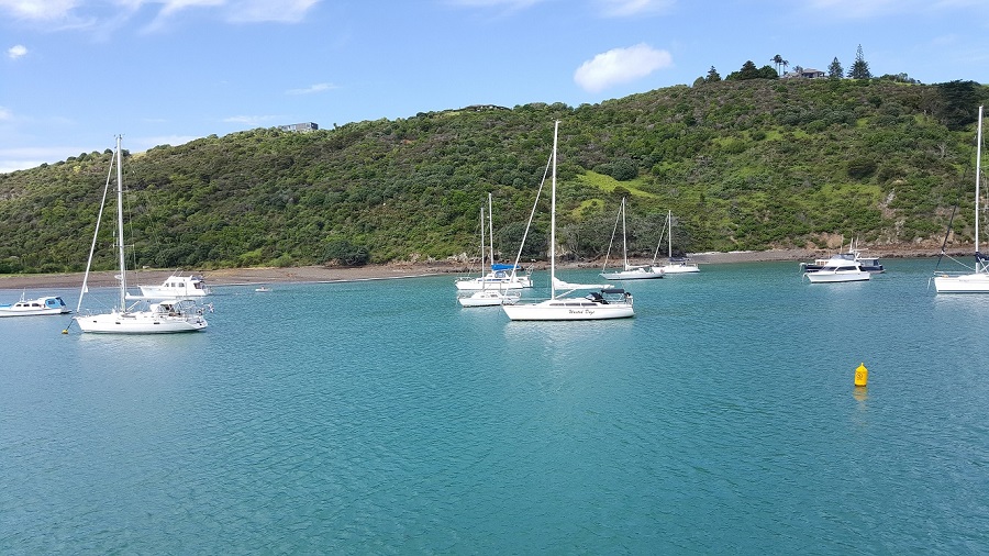 Waiheke 2.jpg