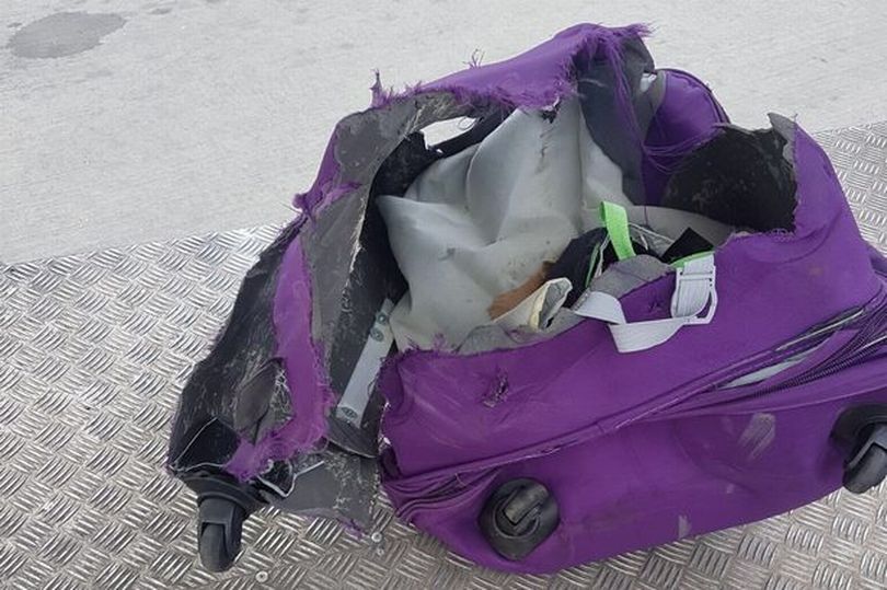 ZSUITCASE.jpg