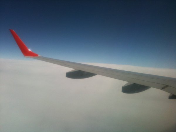 IMG_2298.jpg IMG_2298.jpg