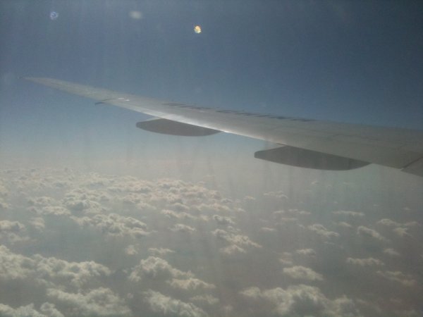 IMG_2409.jpg IMG_2409.jpg