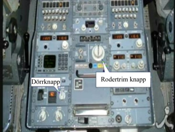 ANA_B737_incident1.jpg