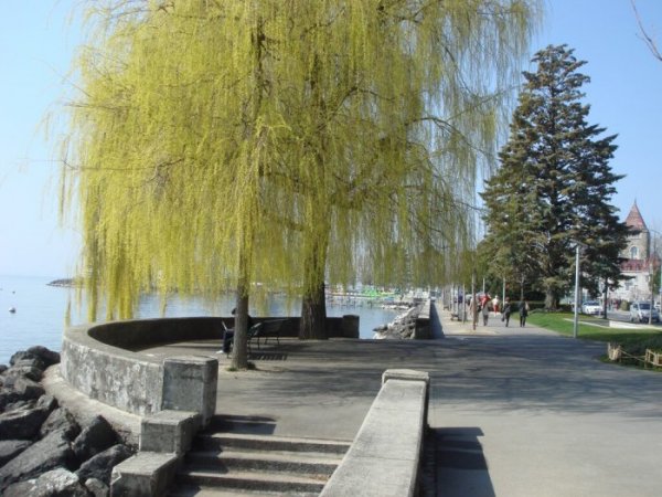 Lausanne_vår.jpg Lausanne_vår.jpg