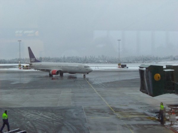 CIMG9978.jpg CIMG9978.jpg