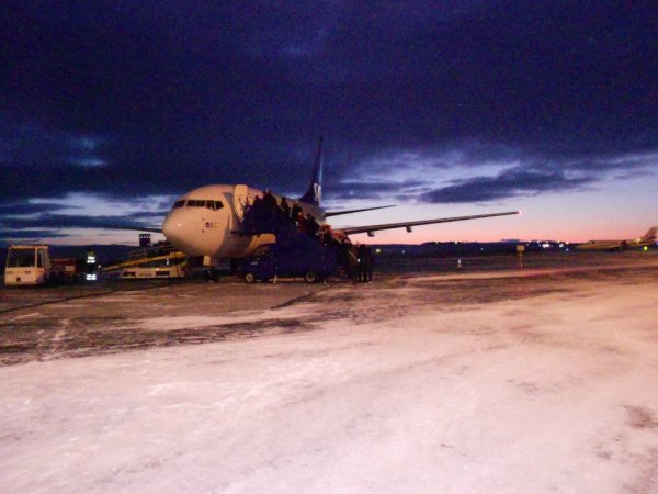 737.jpg