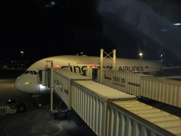 IMG_4934.jpg IMG_4934.jpg