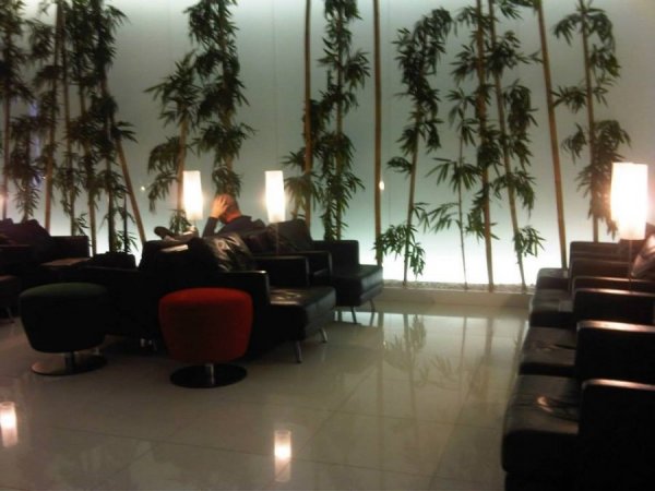 TAPLoungeLisbonAirport4.jpg