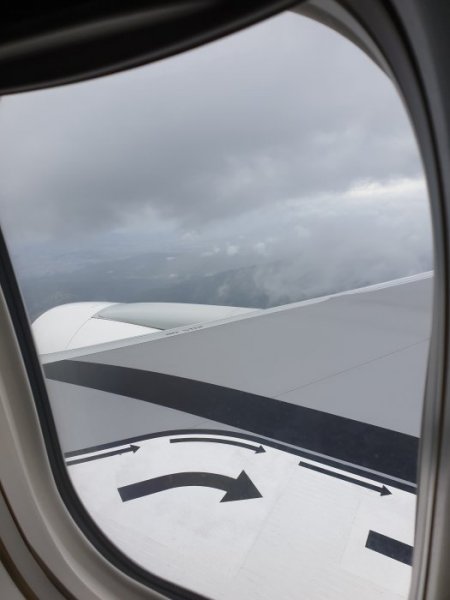 20190815_123551.jpg 20190815_123551.jpg