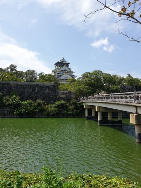20190816_110608.jpg