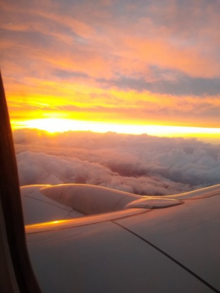 IMG_20201115_171126809.jpg