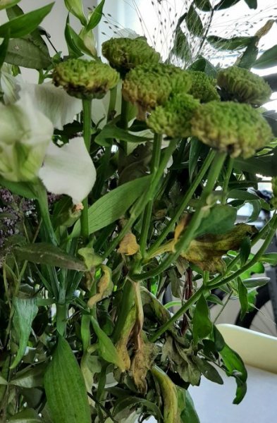 20210531_173158cut.jpg