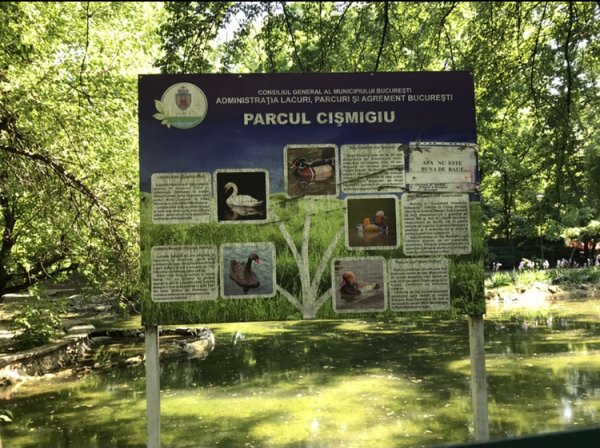 63044A0A-A275-4760-ACEC-8E31BE056956.jpeg 63044A0A-A275-4760-ACEC-8E31BE056956.jpeg