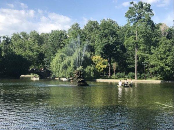 BFC1CD22-7A4D-463A-9CEA-3B2B89FDF8BD.jpeg BFC1CD22-7A4D-463A-9CEA-3B2B89FDF8BD.jpeg