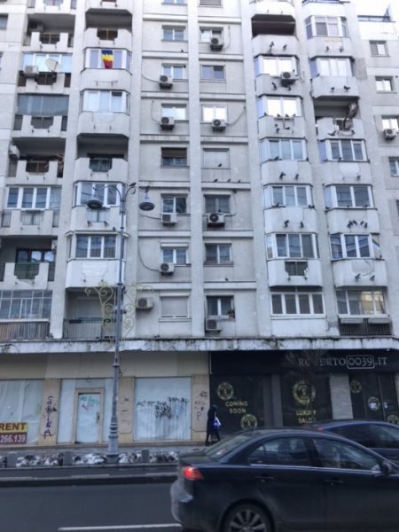 3A618838-872A-4109-8C11-5FFDB955159F.jpeg 3A618838-872A-4109-8C11-5FFDB955159F.jpeg