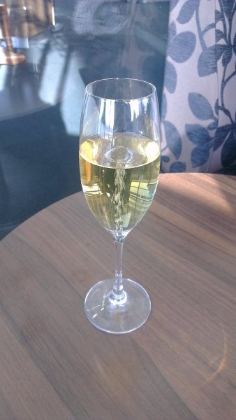 IMAG0171.jpg