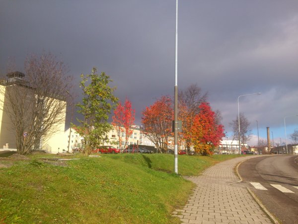 DSC_8243_red.jpg