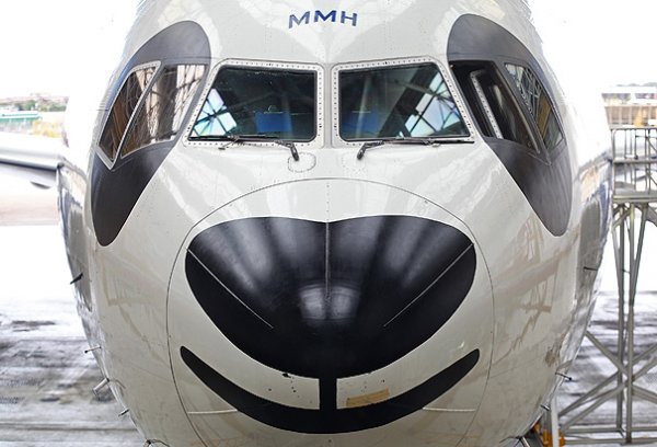 BA PANDA PLANE 3.jpg