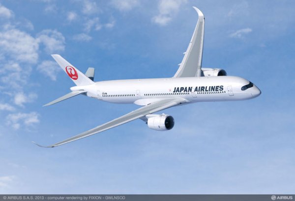 JAL Airbus A350.jpg