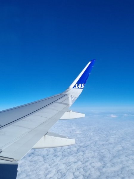 Bild2.jpg