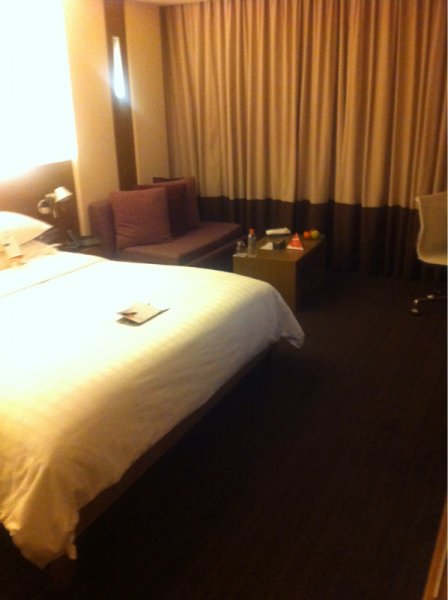 image-917991767.jpg