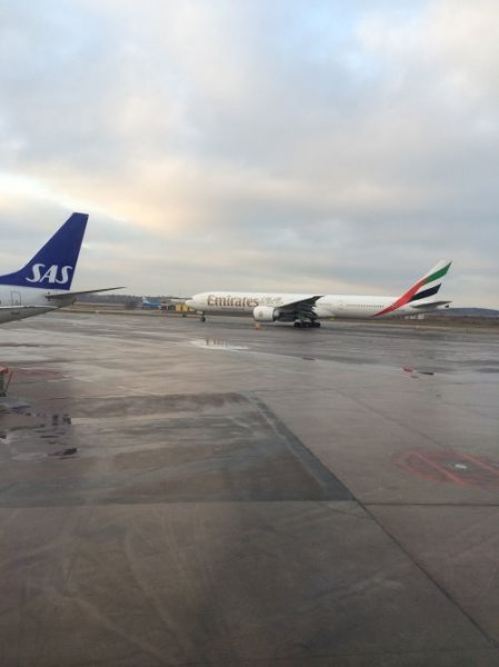 IMG_0547.JPG IMG_0547.JPG