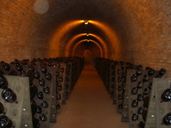 PICT0253.jpg