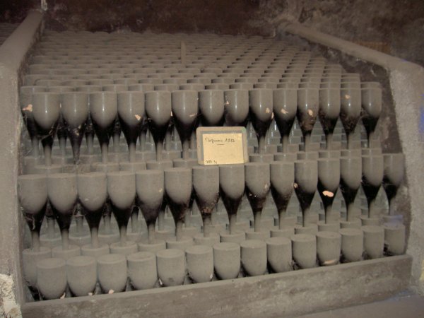 PICT0259.jpg