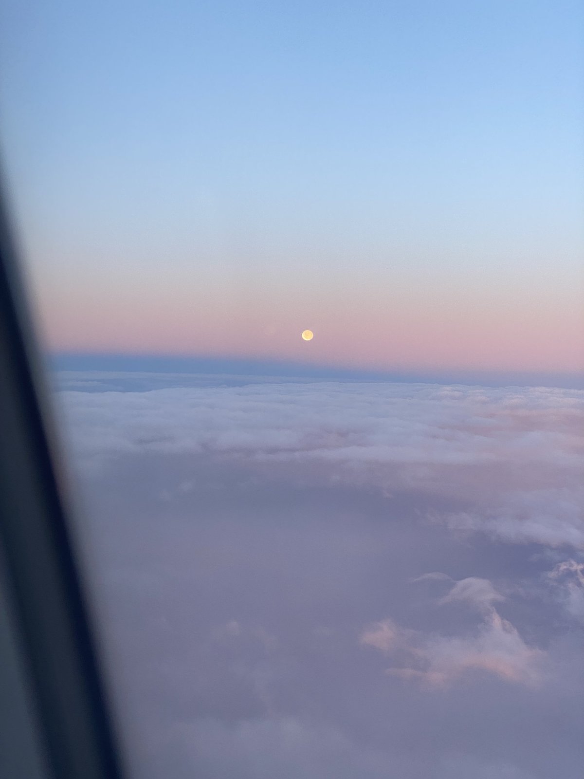IMG_8768.jpeg