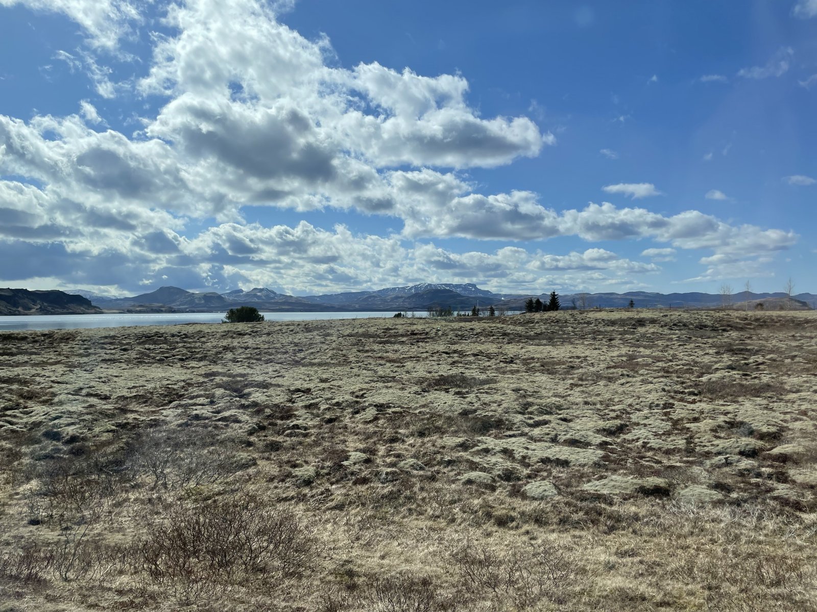 IMG_0621.jpeg