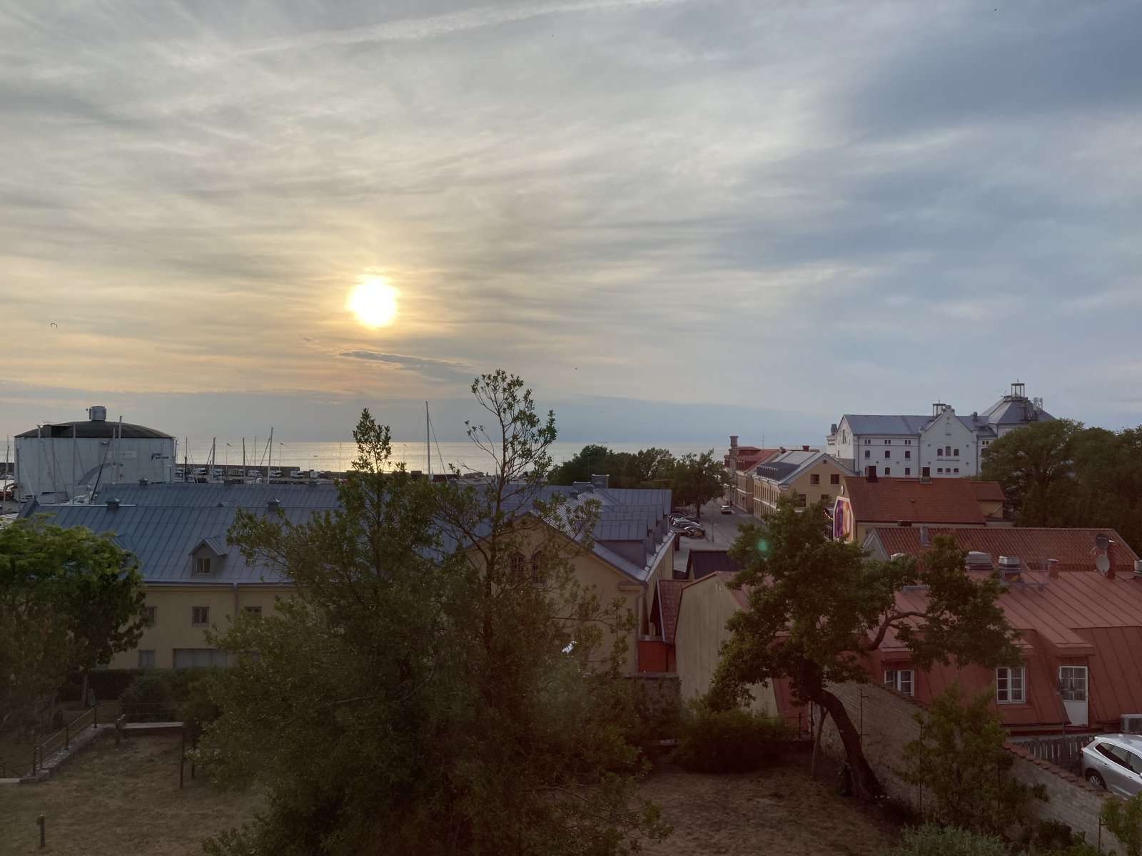 IMG_2639.jpeg