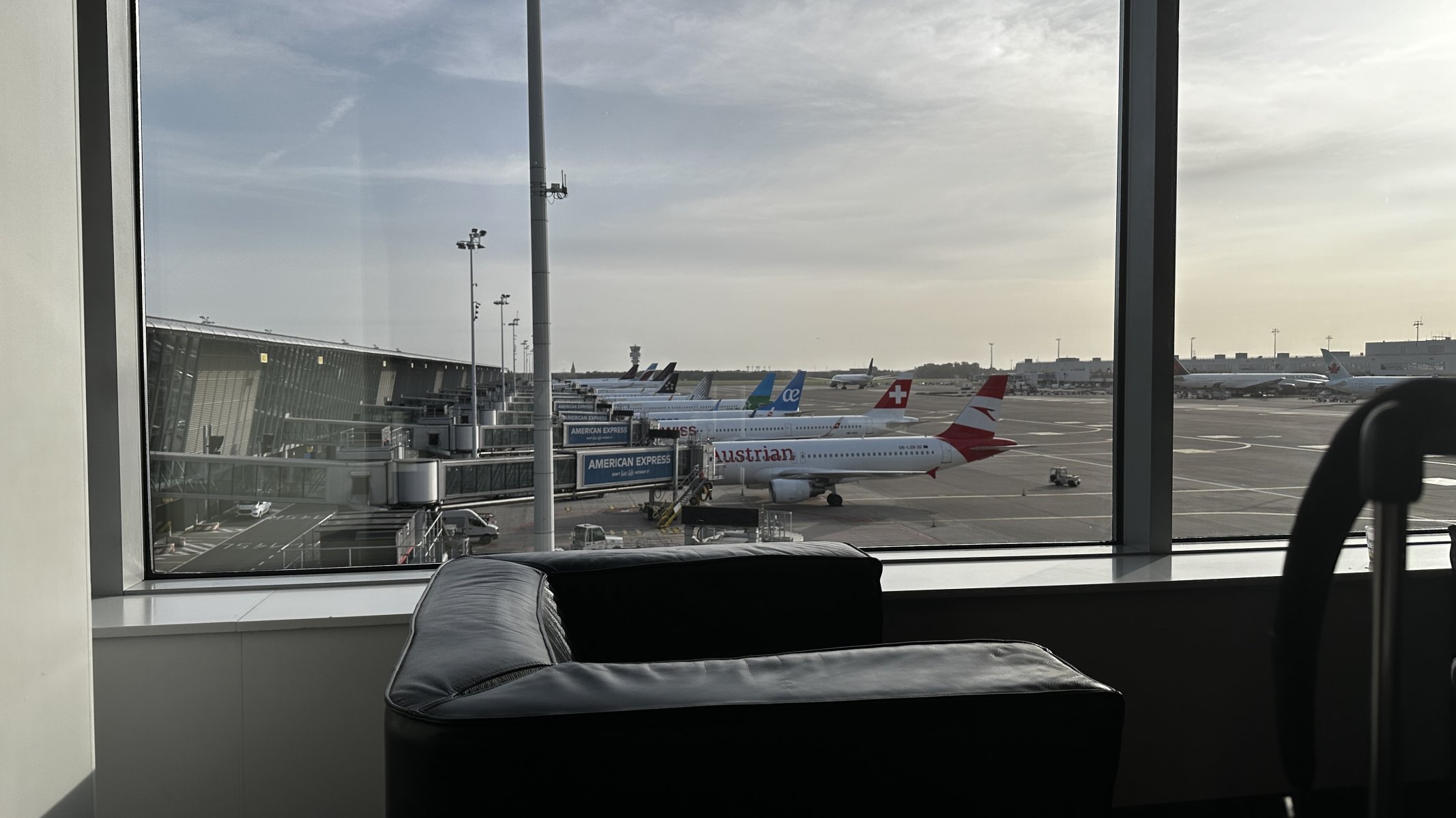 IMG_3169.jpeg IMG_3169.jpeg