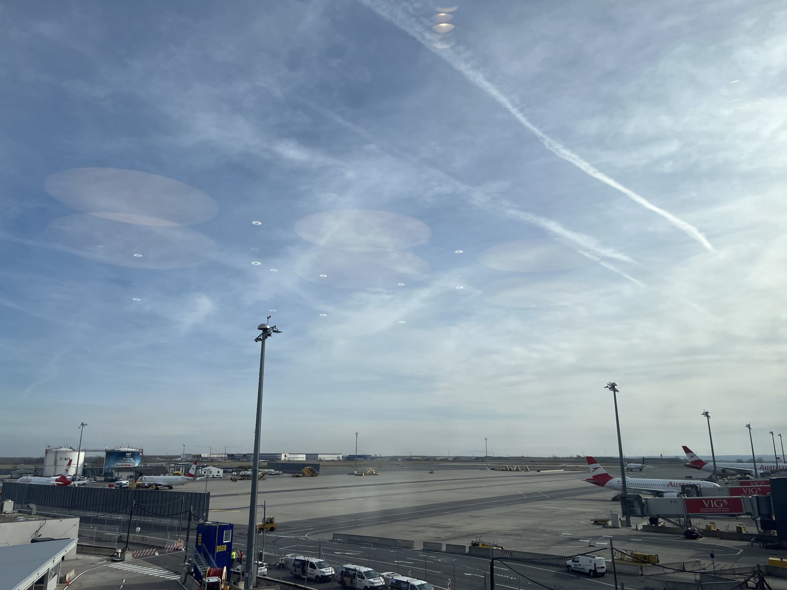 IMG_3955.jpeg