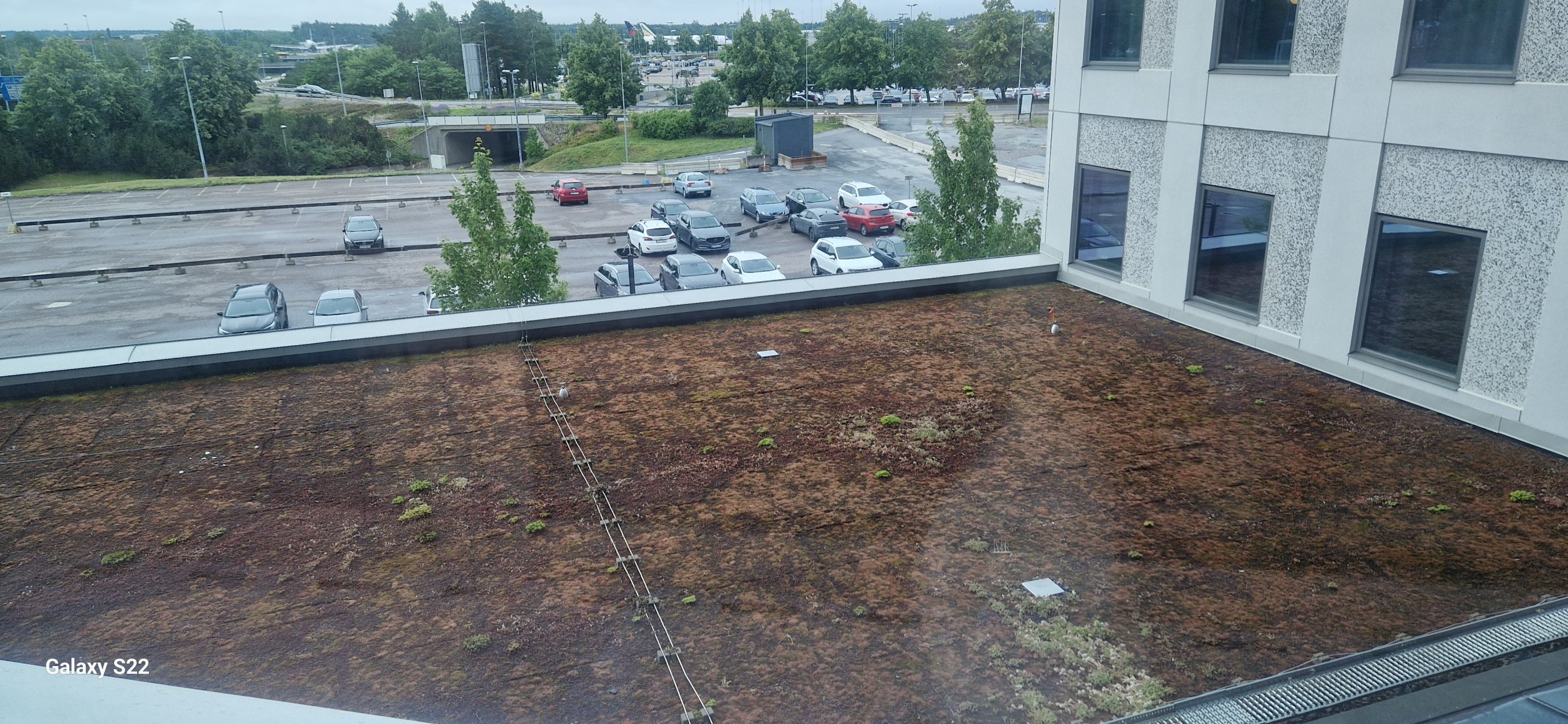 20240701_064119.jpg