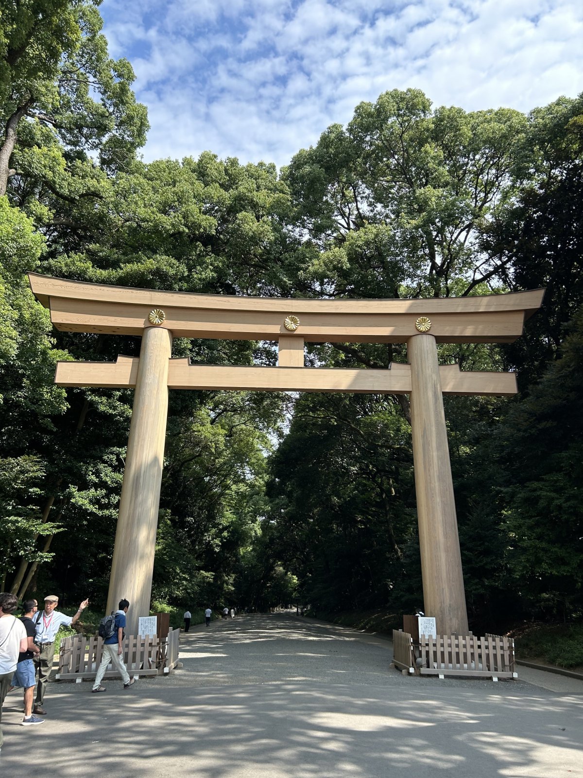 IMG_4841.jpeg