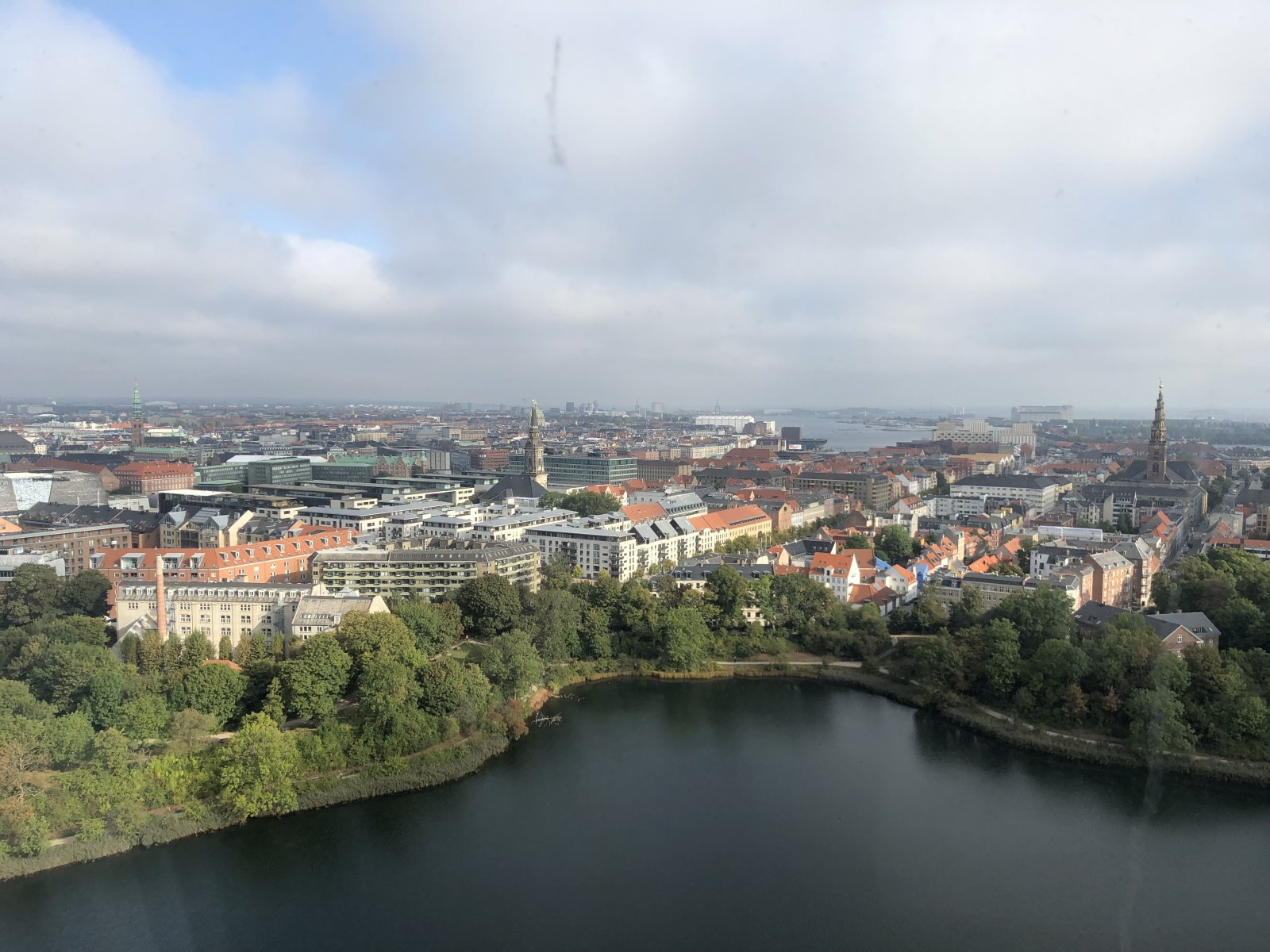 IMG_2991.jpeg