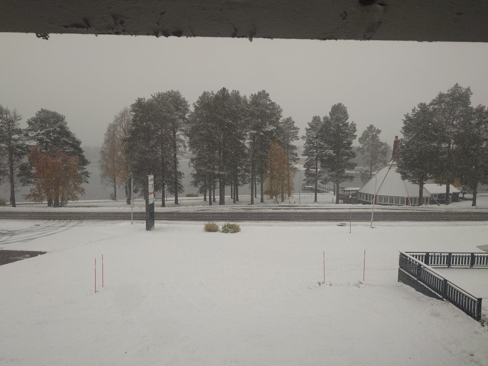 20241008_115914.JPG