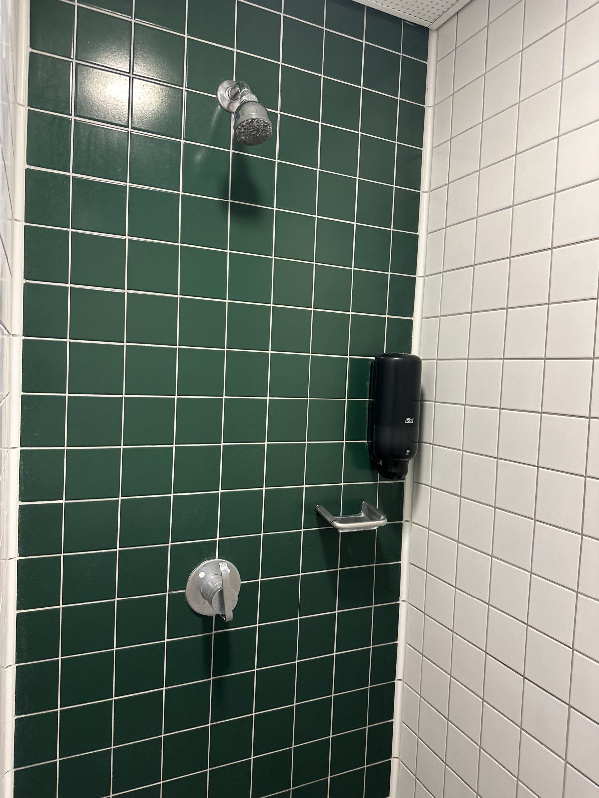IMG_7525.jpeg