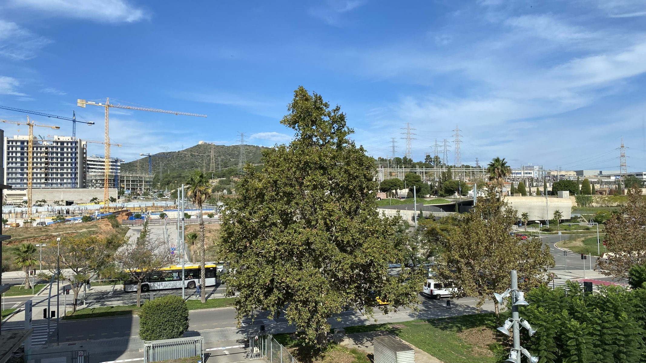 IMG_5481.jpeg