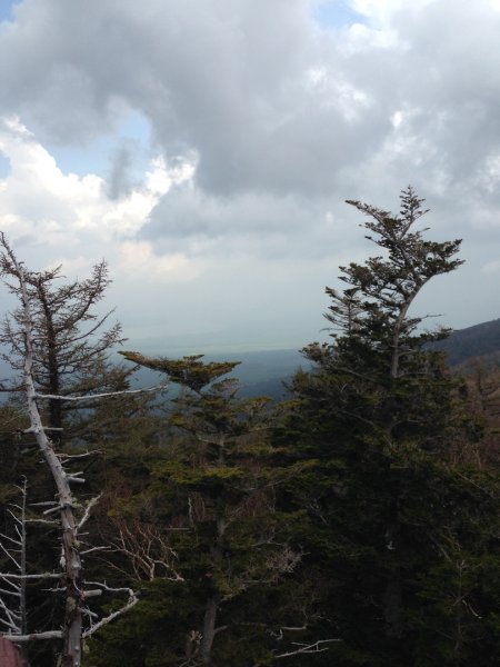 IMG_0707.jpg IMG_0707.jpg