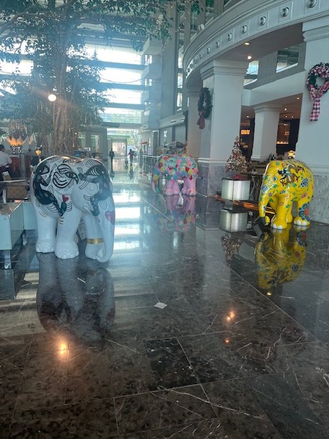 IMG_4584.jpeg