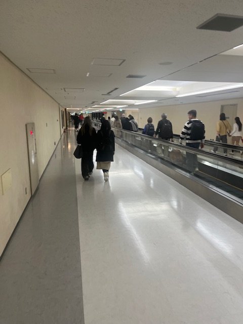 IMG_4785.jpeg