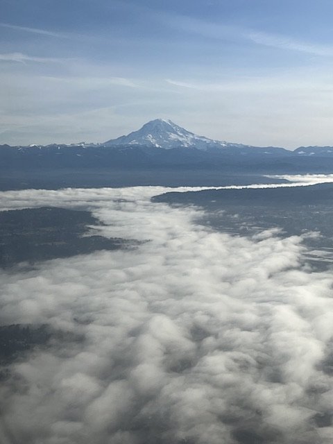 IMG_4914.jpeg