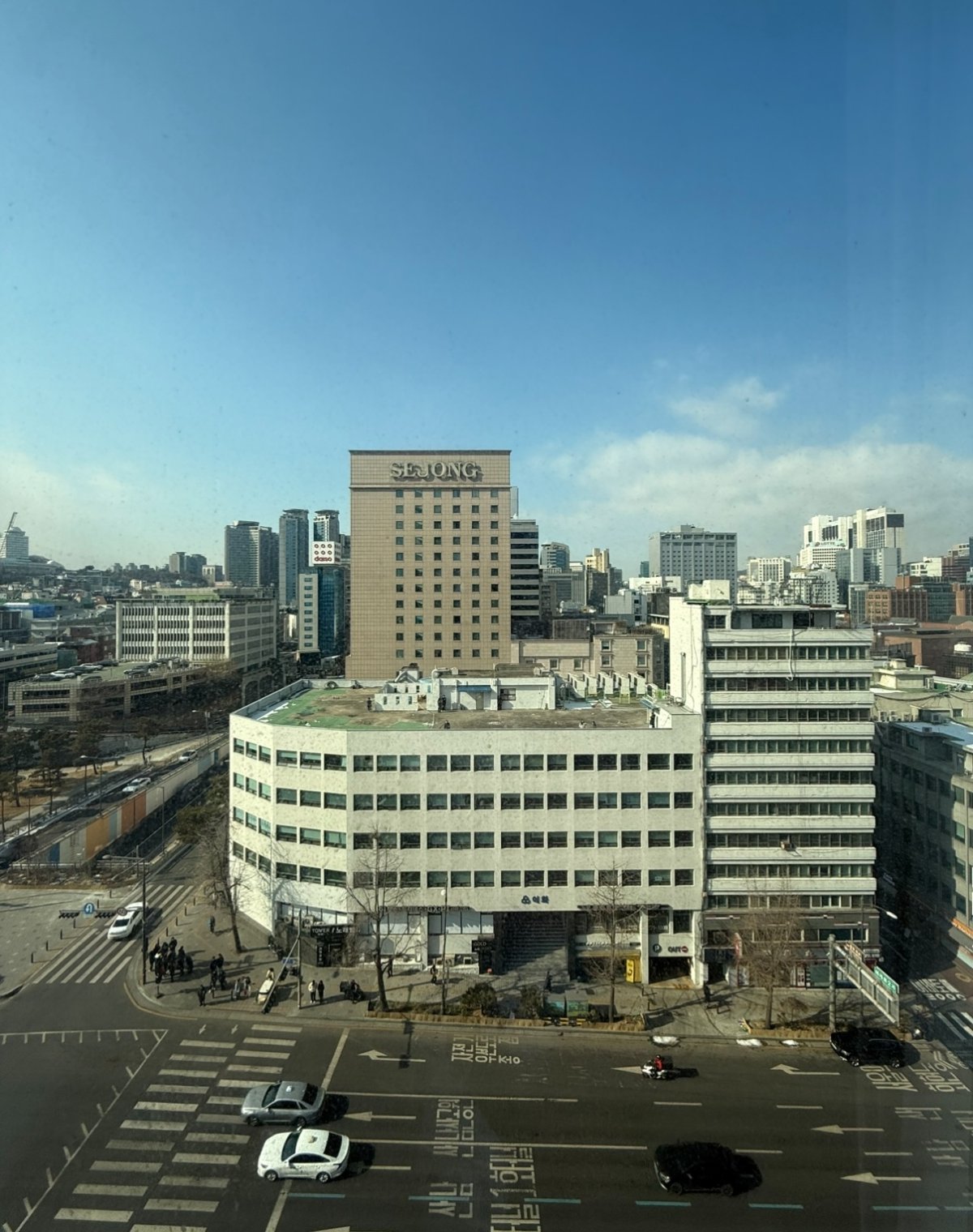 IMG_7003.jpeg