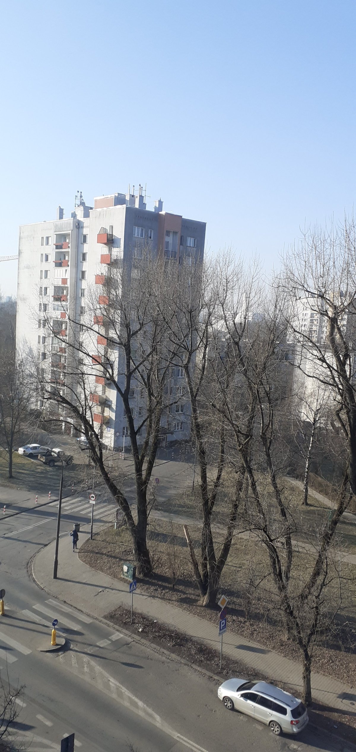 20250220_085038.jpg