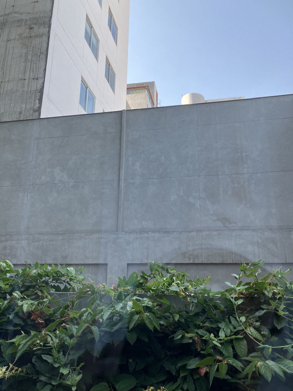 IMG_7553.jpeg