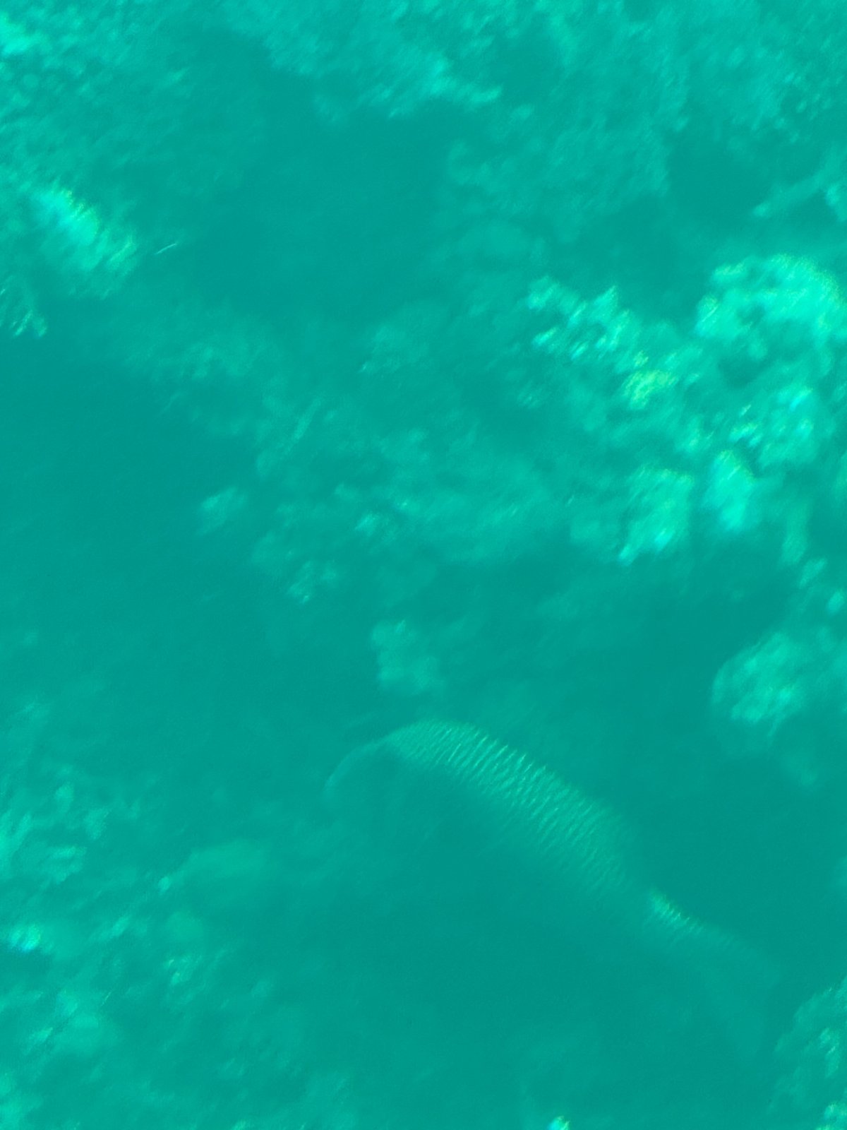 IMG_0772.jpeg