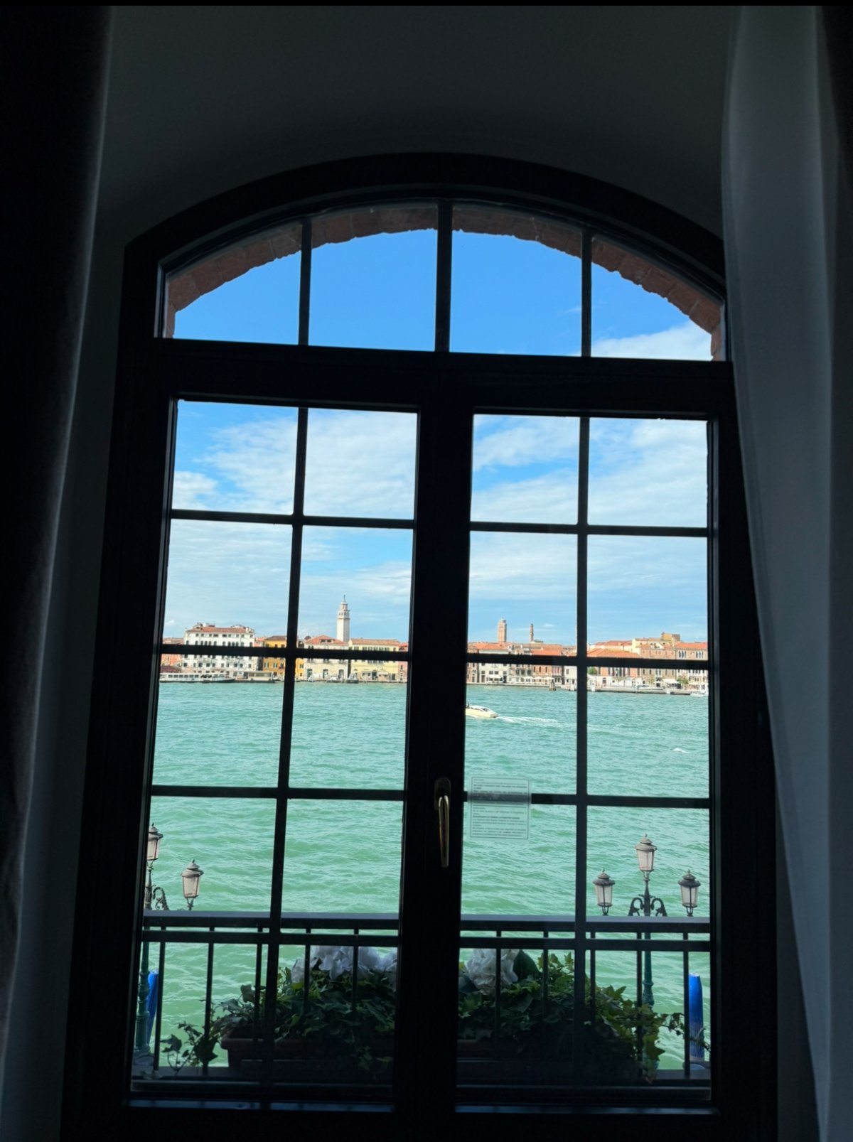 IMG_2595.jpeg