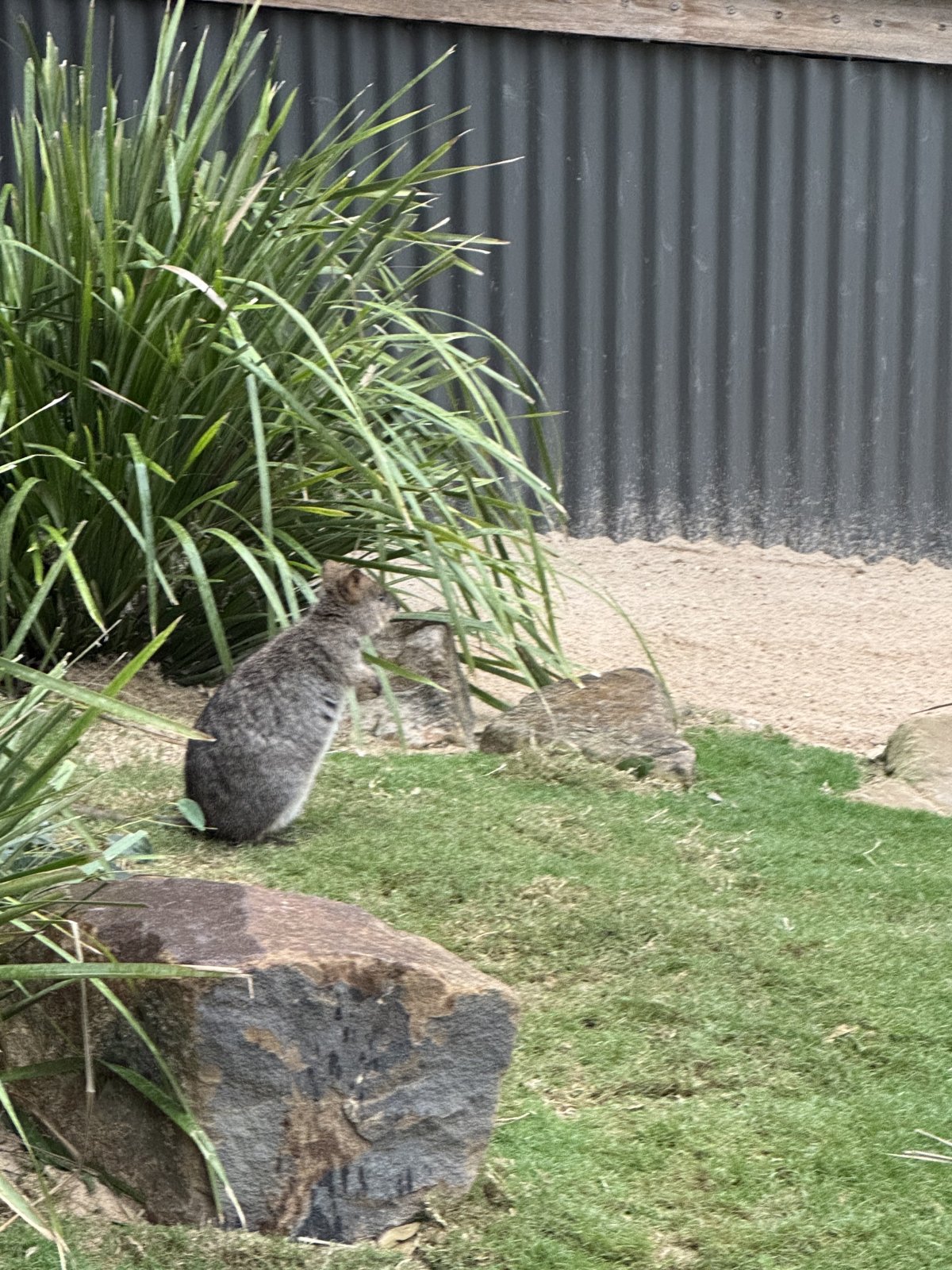 IMG_1672.jpeg