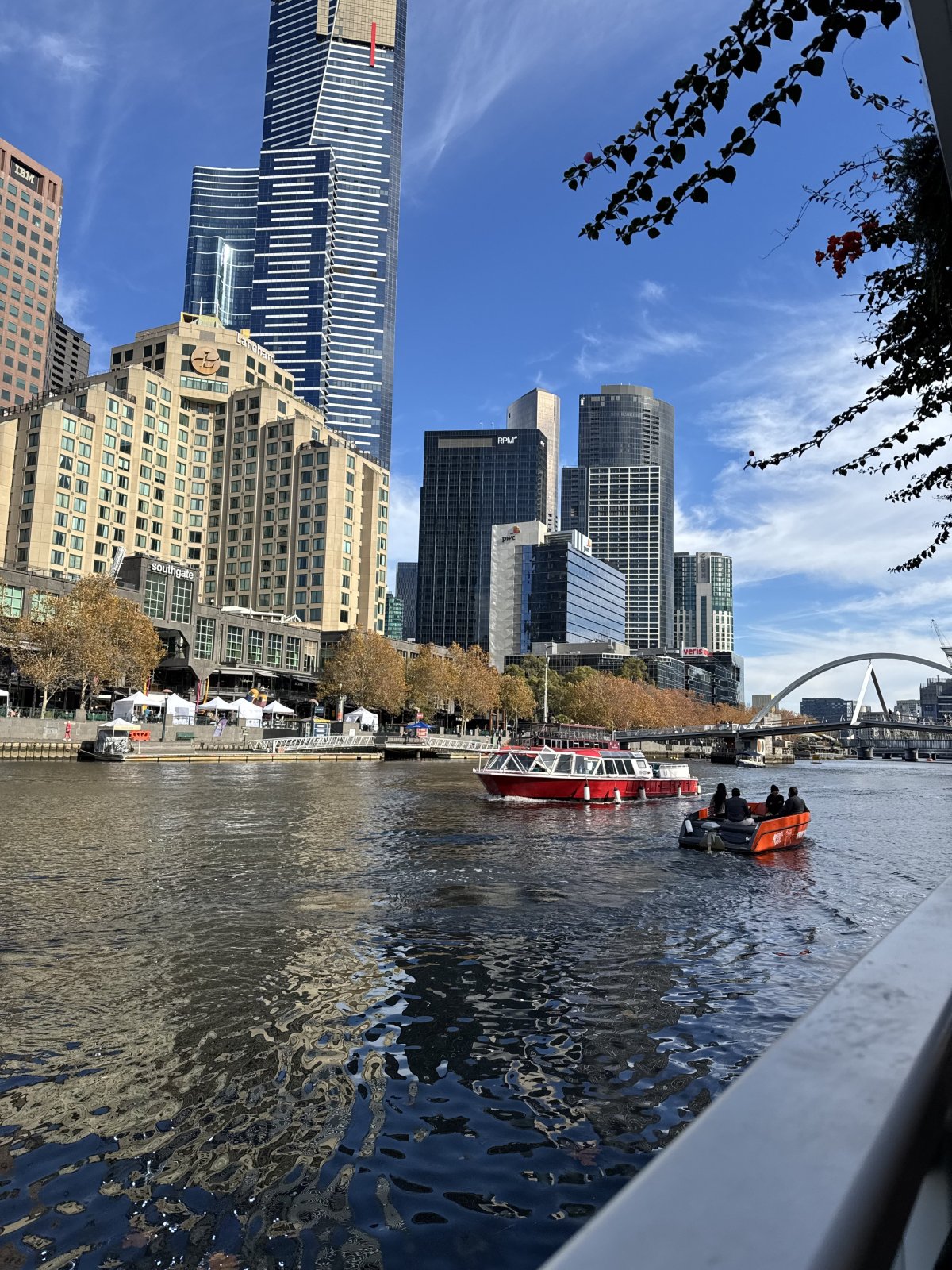 IMG_2168.jpeg