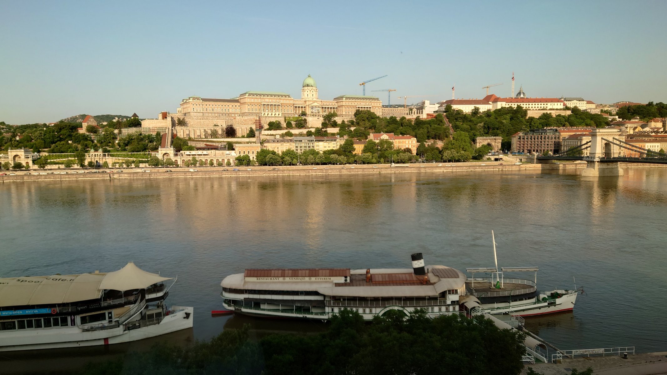 20250606_064915.JPG